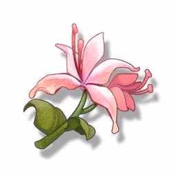 wuthering-waves-jiyan-complete-guide-to-the-5-star-aero-broadblade-dps-image-2